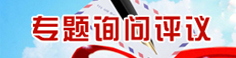 专题询问